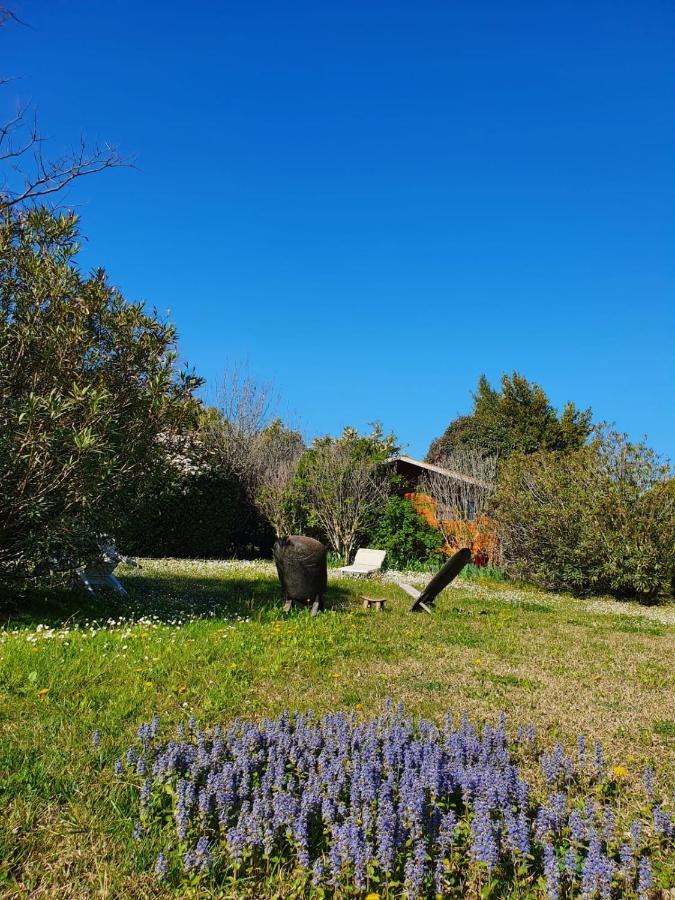 La Cabane Du Pesquier En Provence Caumont-sur-Durance Luaran gambar