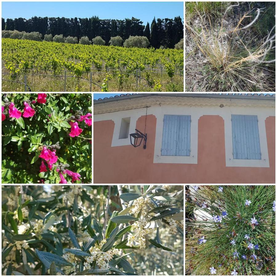 La Cabane Du Pesquier En Provence Caumont-sur-Durance Luaran gambar